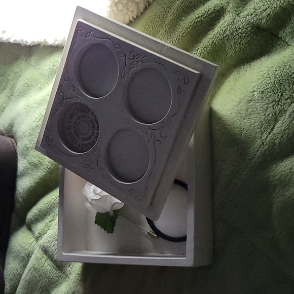 Paeania Biznathian Marion - Picture 4 of 8